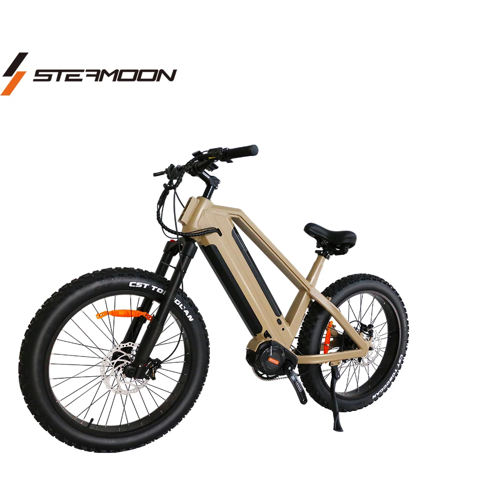 mid range electric bike