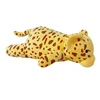 Leopardo