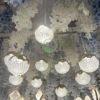 10 heads snowflake ball chandeliers golden warm light