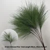 Pino cinese verde