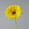 Giallo autunnale