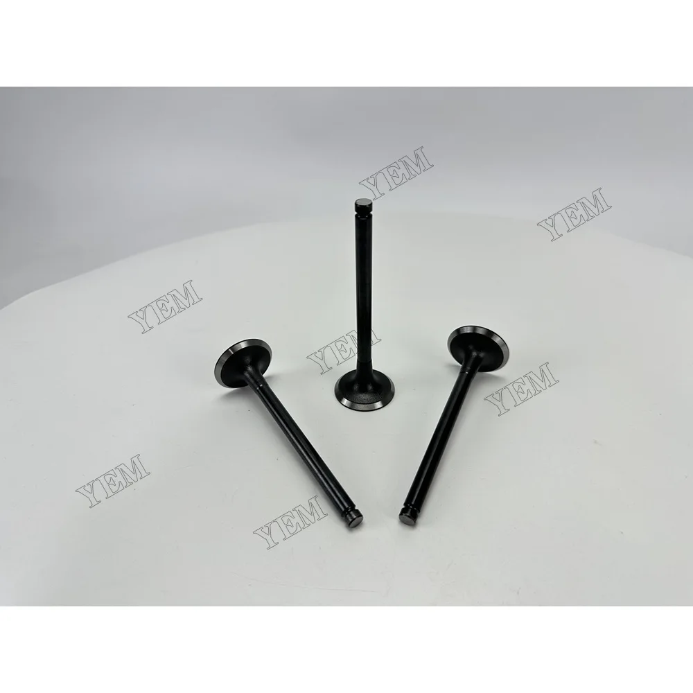 Intake Valve for Isuzu 3KC2 Engine Parts 2