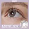 Gris lavande