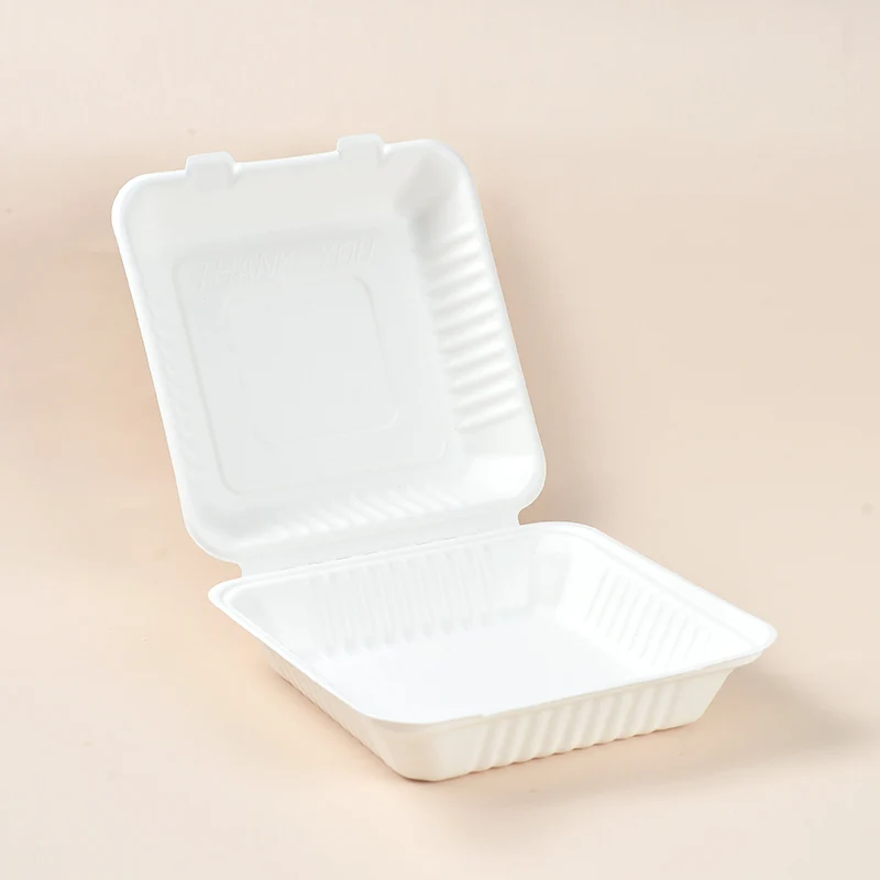 9 Inch Eco-Friendly Biodegradable 1000ml Disposable Lunch Box PCT091 ...