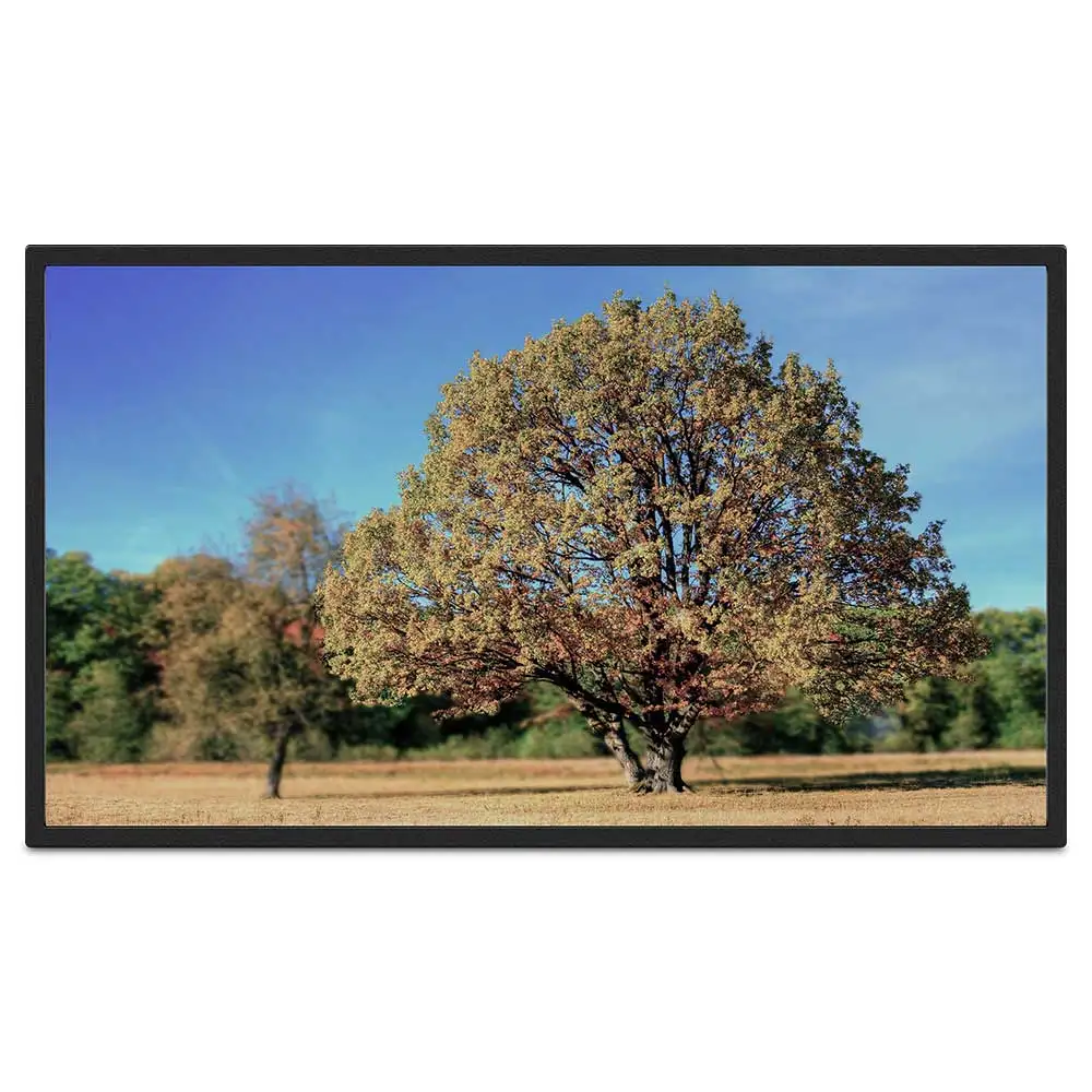 Geniatech E-ink Conference Room Display Esl bluetooth Wireless Color Big Large E Ink Display