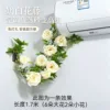 Dragon's Jewel Vine: White