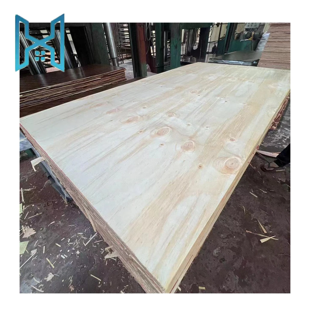 and real estate materials eucalyptus laminated plywood market