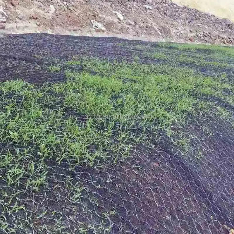 3D Virgin Geomat Outdoor 10mm-50mm Slope Modern Green Landscape Mat for Erosion Control Geosynthetic Plastic Earthwork Product