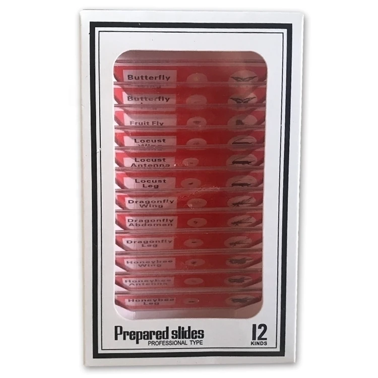 Учебные ресурсы поставка с завода детские пластиковые готовые микроскопы предметы используемые в биологии базовые науки для обучения