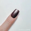 VL082 - วิเวียน บราวน์