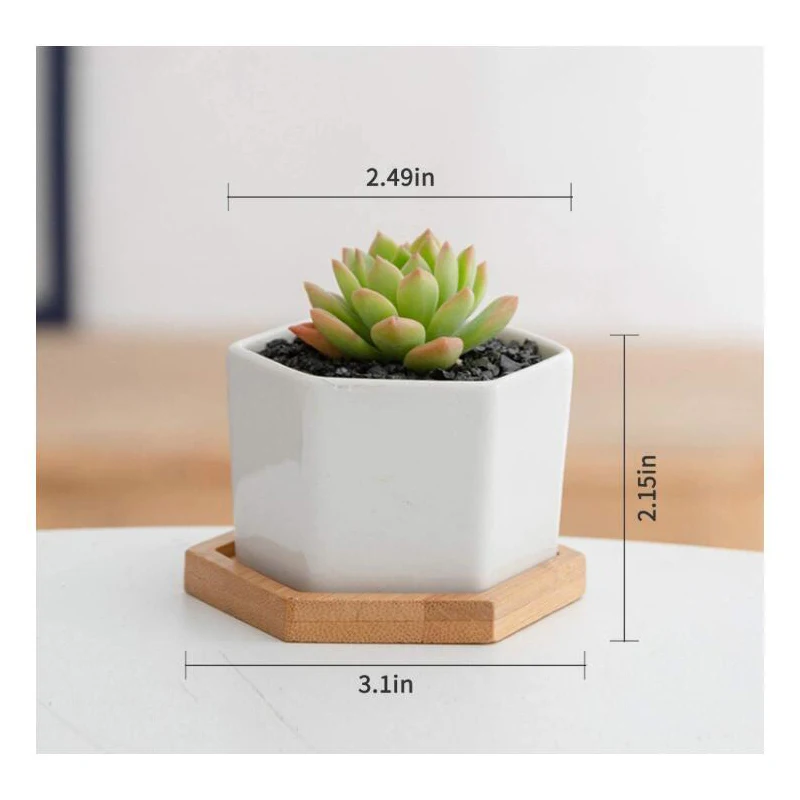 Shop Small White Ceramic Flower Pots for Miniature Succulents