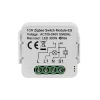 Zigbee 1 gang 16A with monitor