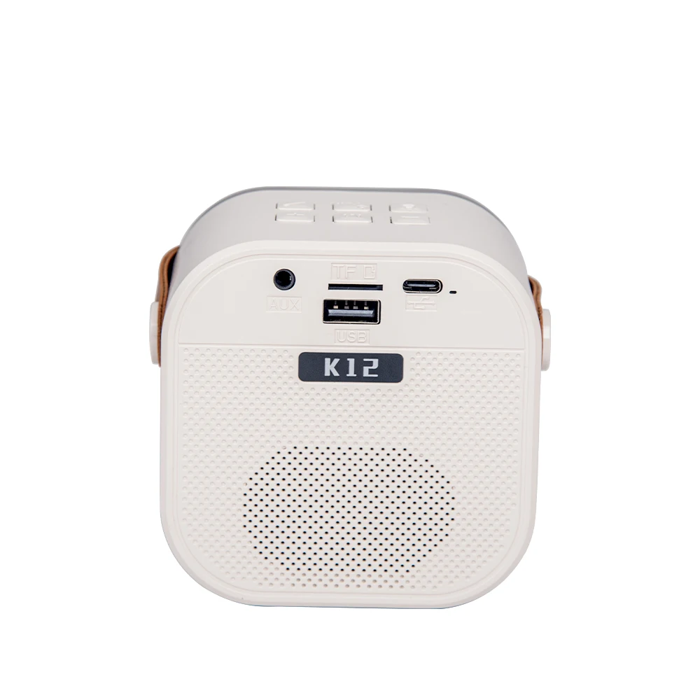 FANSBE Outdoor Portable Sound Mini Wireless Karaoke Bluetooth Speaker Wireless With 2 Microphone