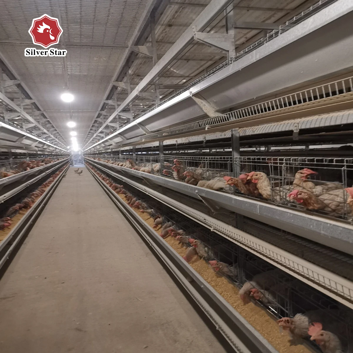 Оптовая продажа клетки для разведения кур слой клетка