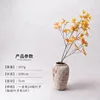 ก้านเวอร์ชันที่เข้ารหัสสีส้มหนึ่งอัน