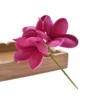 PRF-194   H.pink