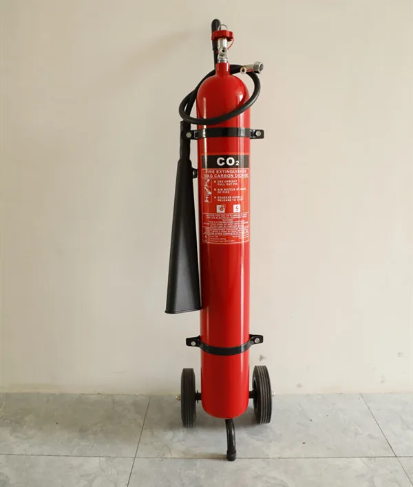 10KG.jpg