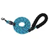 Bleu paon