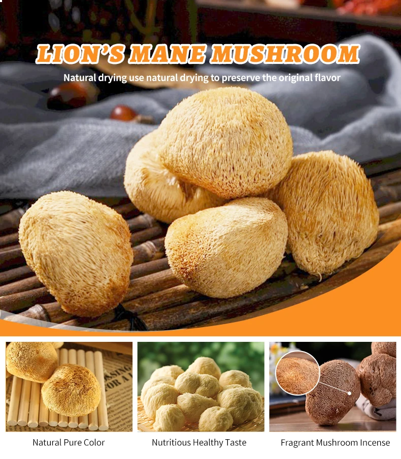 Dried Mushroom Including Dried Morel Shiitake Reishi Lions Mane Turkey