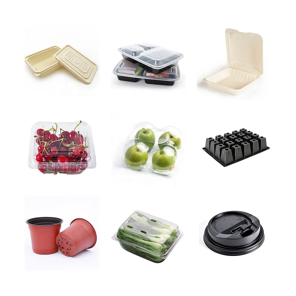 Plastic Thermoforming Disposable Polystyrene Ps Plate Food Container Cup Lid Making Machine Price