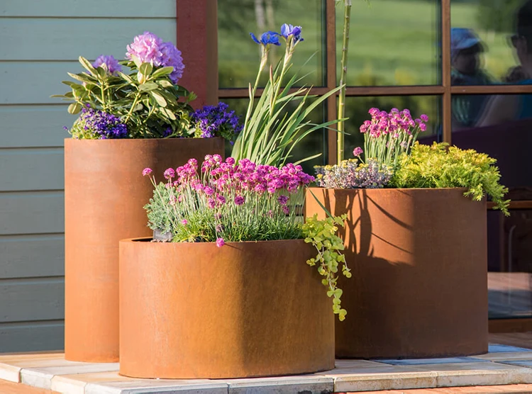 product-1-1 product-1-1