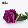 Single crystal rose, purple