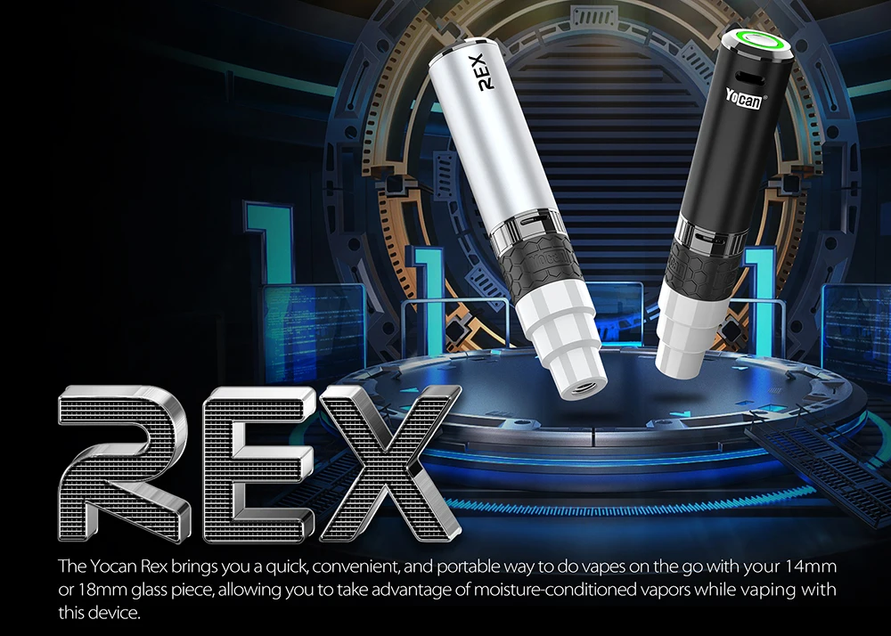 REX (1).jpg