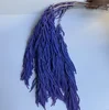 blu-viola