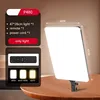 P480 Light