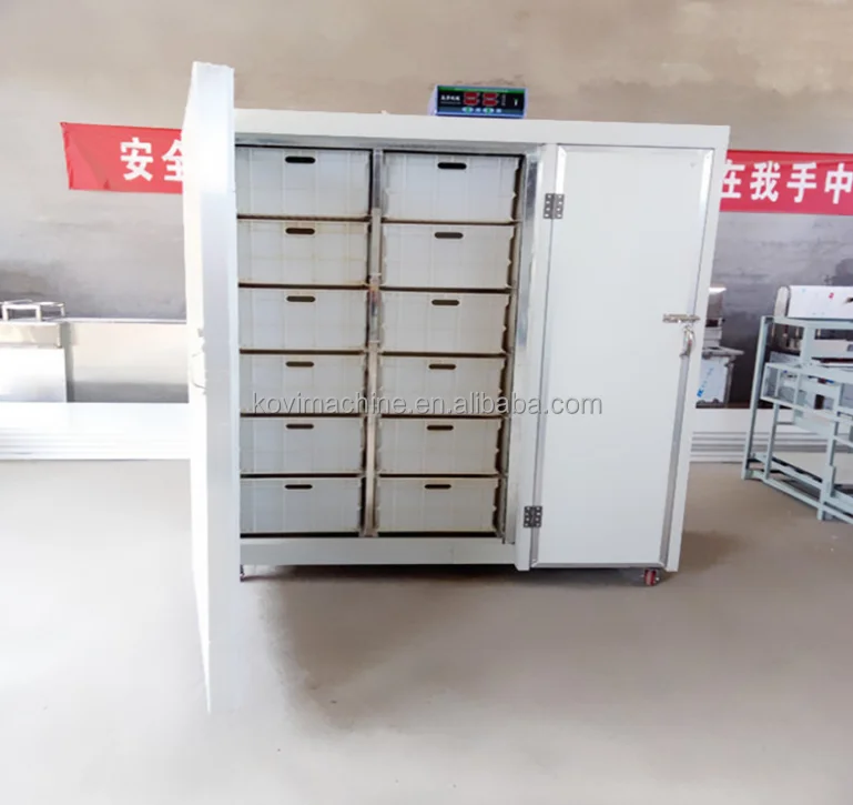 Hydroponic Soy Bean Sprout Growing System Equipment Soybean Mung Bean Sprouter Machine