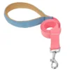 PINK BLUE Leash