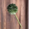 Green 5