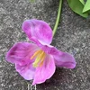 2# Pink, B4 large flower feel tulip light powder