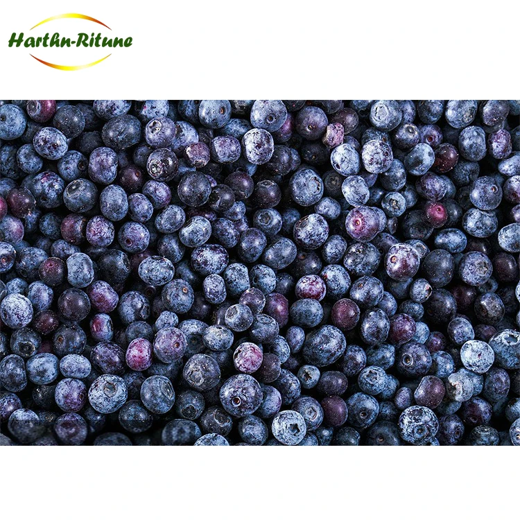 Ψηλής Ποιότητας 10kg IQF Κατεψυγμένα Μύρτιλα σε Χονδρική Τιμή για Πώληση