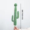 Paquete de cactus espinoso blanco - tamaño grande