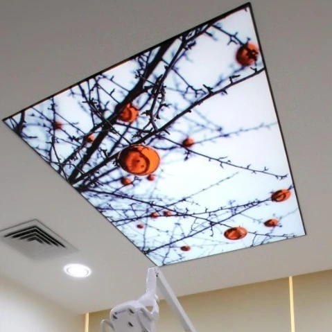 ZHIHAI Kids Room Ceiling and Wall Covering Ocean Fishing 3d Printing Pop  Pvc Figures Suspended Ceilings