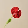 Rosso garofano con confezione indipendente
