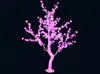rosa 2