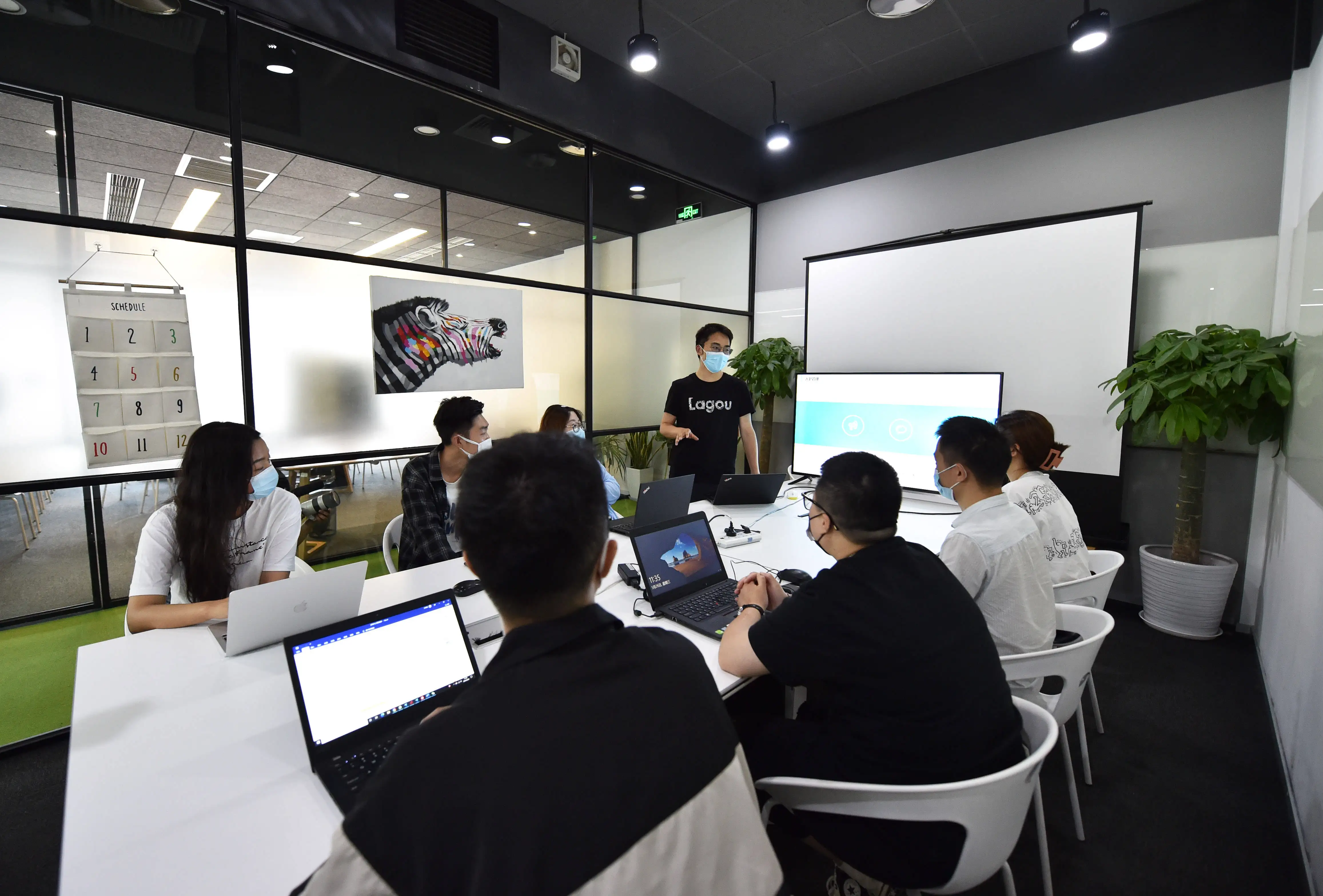 壁挂式宠物相机治疗分配器,带手机应用狗治疗相机视图