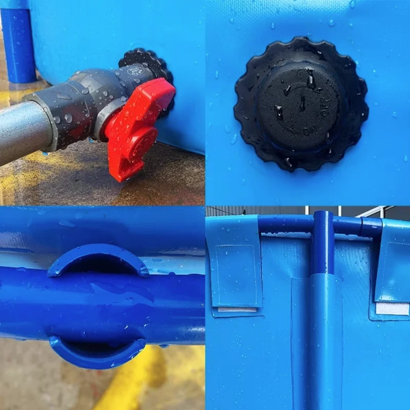 Tilapia Fish Farming A Detailed Business Plan Guide F vrogue.co