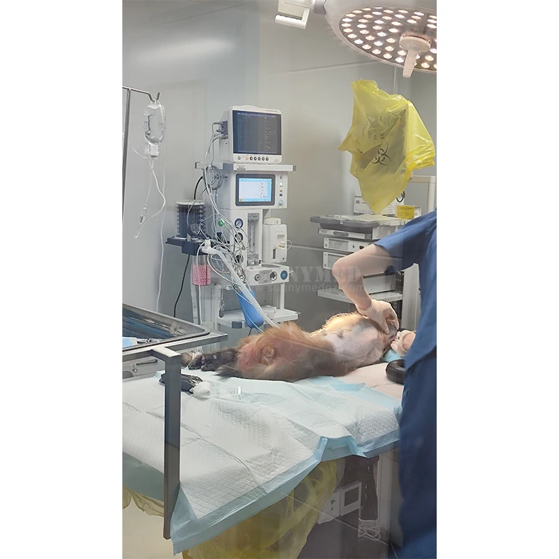 SY-W074 Intergrated Veterinary Anesthesia Machine With Built-in Turbine Ventilator Advanced Anesthesia Machine Cart Type