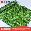 Color Printed Green Perilla Leaves