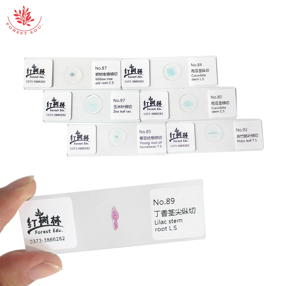 Fixed Set Educational Supplies Biology Teaching Resources Various Of