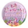 9 inch plates*10pcs