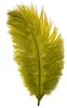 Jaune vif