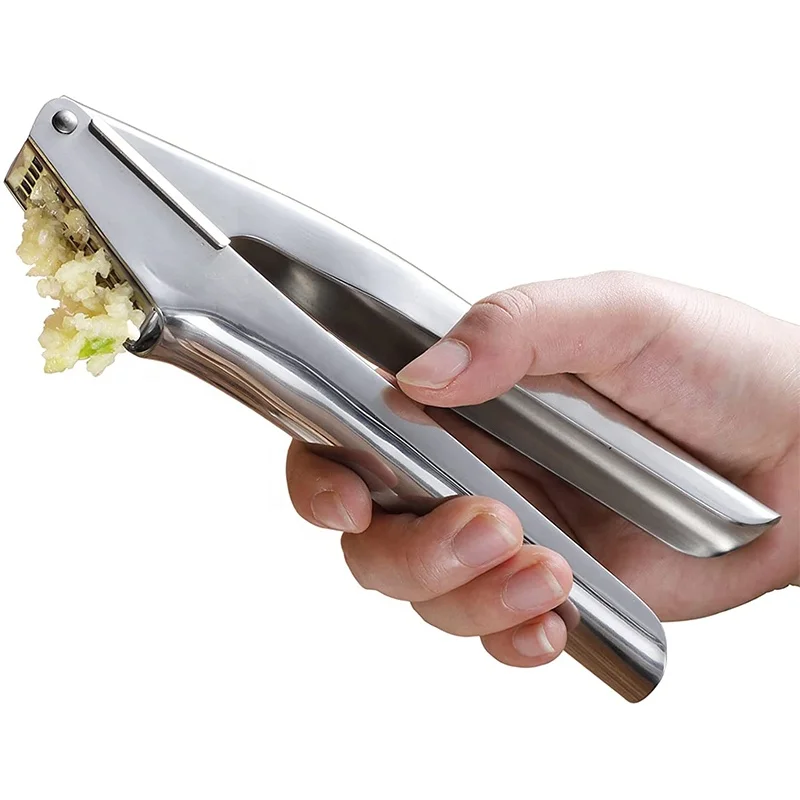 Garlic Press Stainless Steel, Garlic Mincer Tool With Square Hole - Rust  Proof, Professional Grade Garlic Crusher - Dishwasher Safe, Garlic Tools