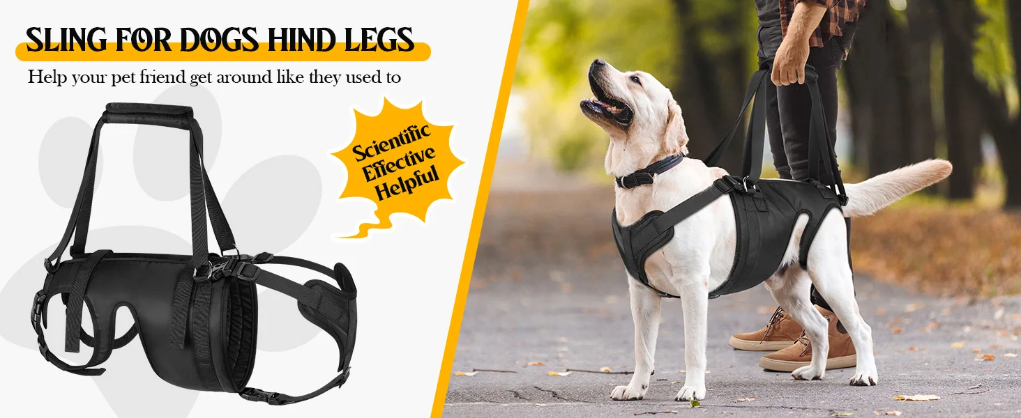 Dog Lift Harness Dogs' Hind Leg Support Pee-Able Ideal For Seniors Disabled Injured & Arthritic Dogs In ACL Recovery