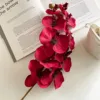 10-head display pattern phalaenopsis orchid-red-1 stem