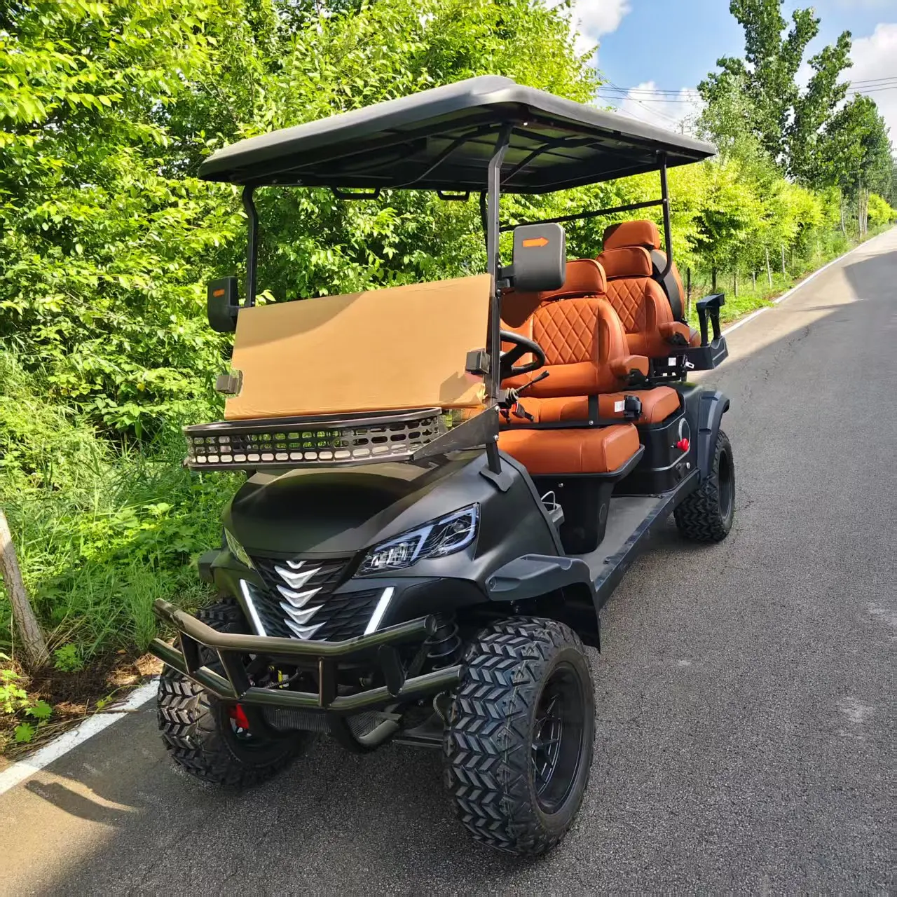 ZXK6 Electric Golf Cart - 72V Led Club Golf Car Factory Sale