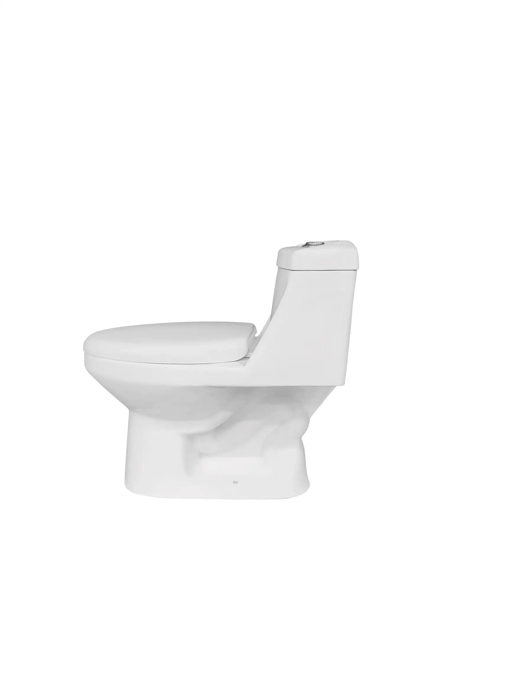 South American Hot Siphon S Trap 300 mm One Piece Toilet Economic Ceramic Toilet Factory Direct Sale Toilet factory